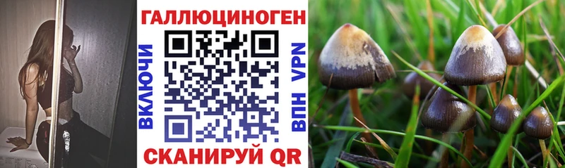 блэк спрут рабочий сайт  купить   Евпатория  Галлюциногенные грибы прущие грибы 